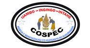 COSPEC